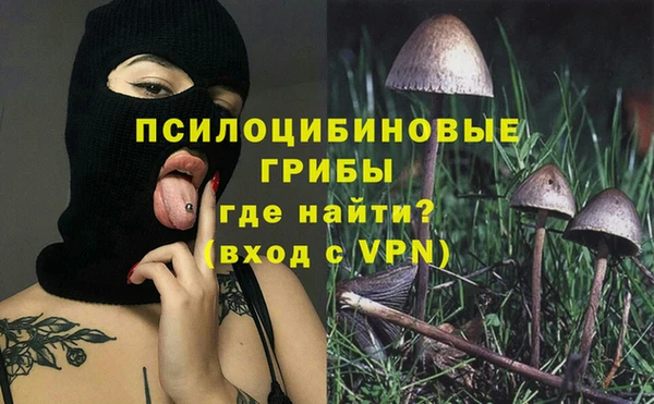 a pvp Коряжма
