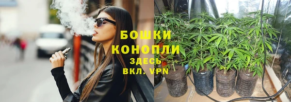 гашик Костерёво