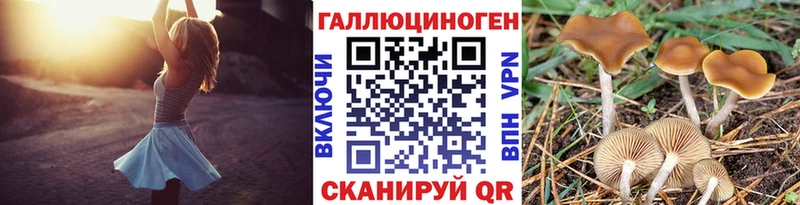 купить наркоту  Мегион  Псилоцибиновые грибы мицелий 